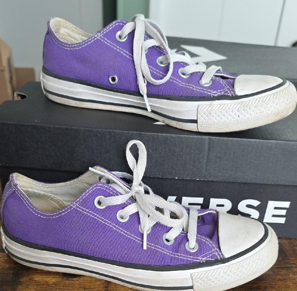 Converse Violet Canvas Sneakers
